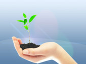 Environmental sustainability