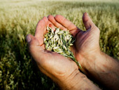 Environmental sustainability