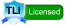 Thinkbuzan Licensed Instructor