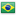 Brasil Flag